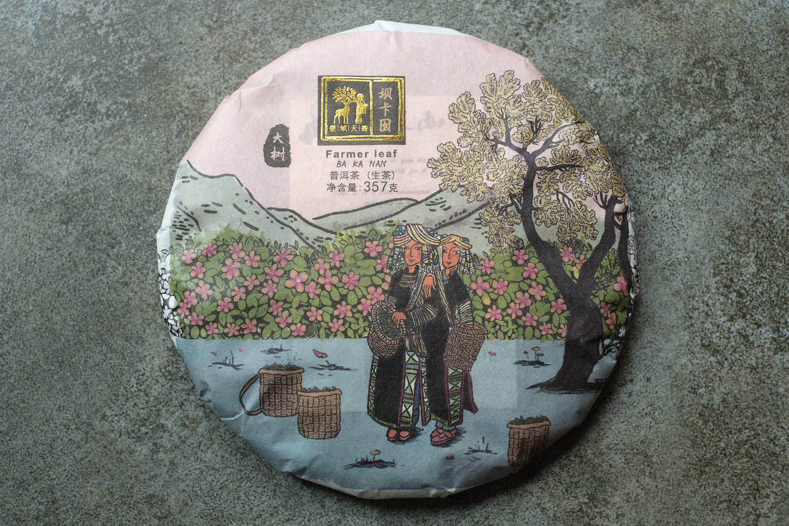 Spring 2024 Ba Ka Noy