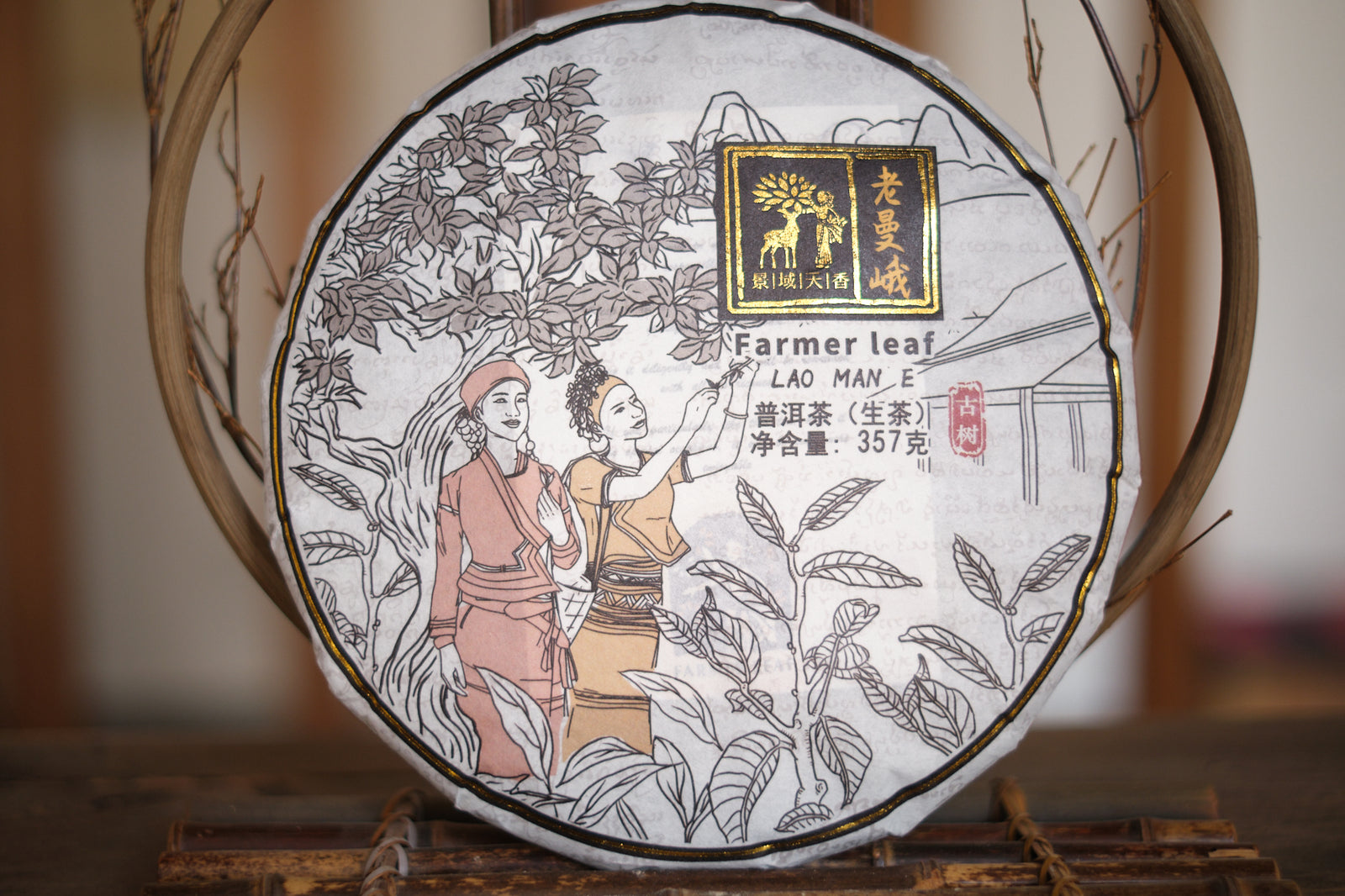 Spring 2024 Lao Man E Gushu