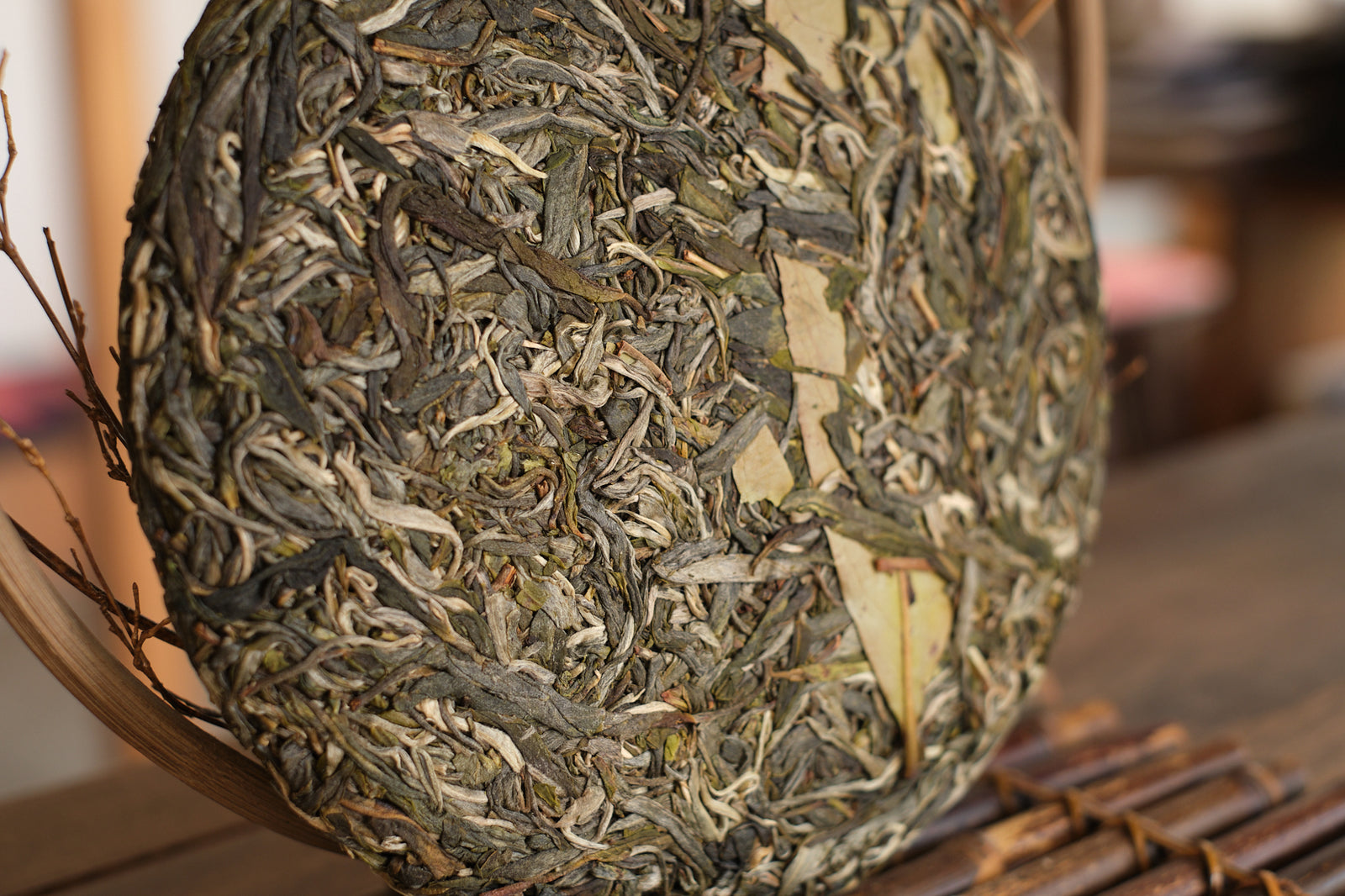 Spring 2024 Lao Man E Gushu