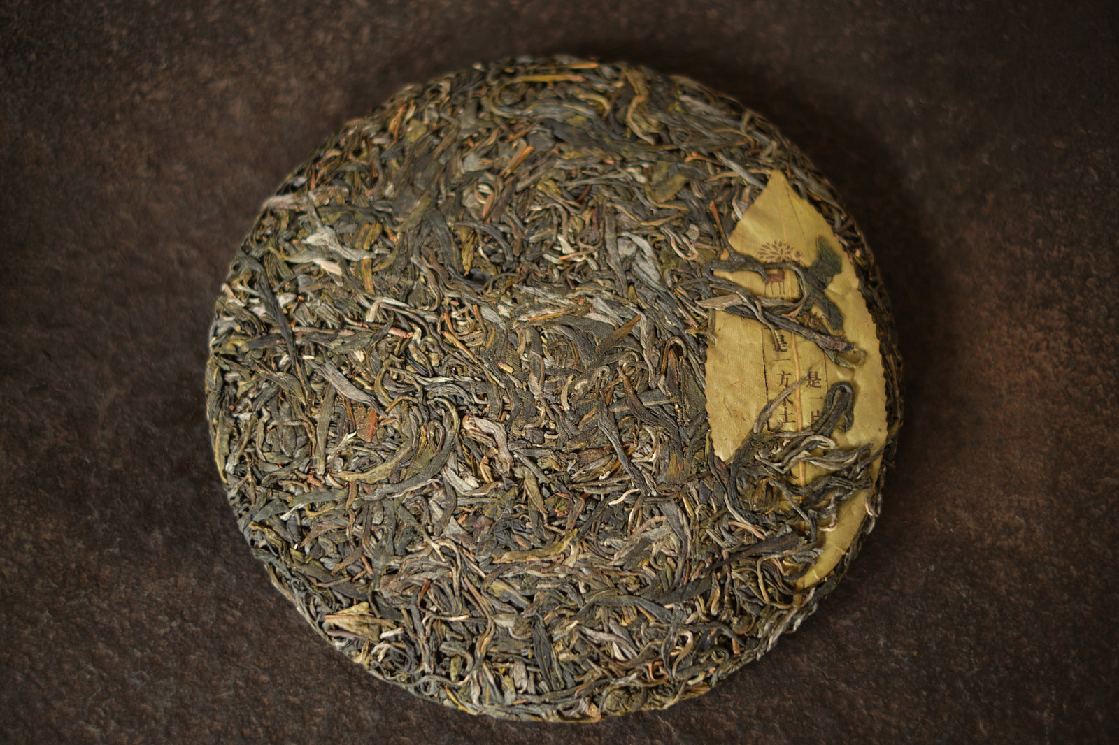 Spring 2024 Jingmai Single Trees