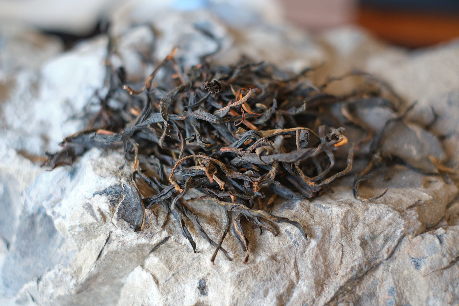 Spring 2023 Jingmai Sun-dried Black