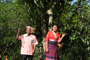 Spring 2023 Lao Man E big trees