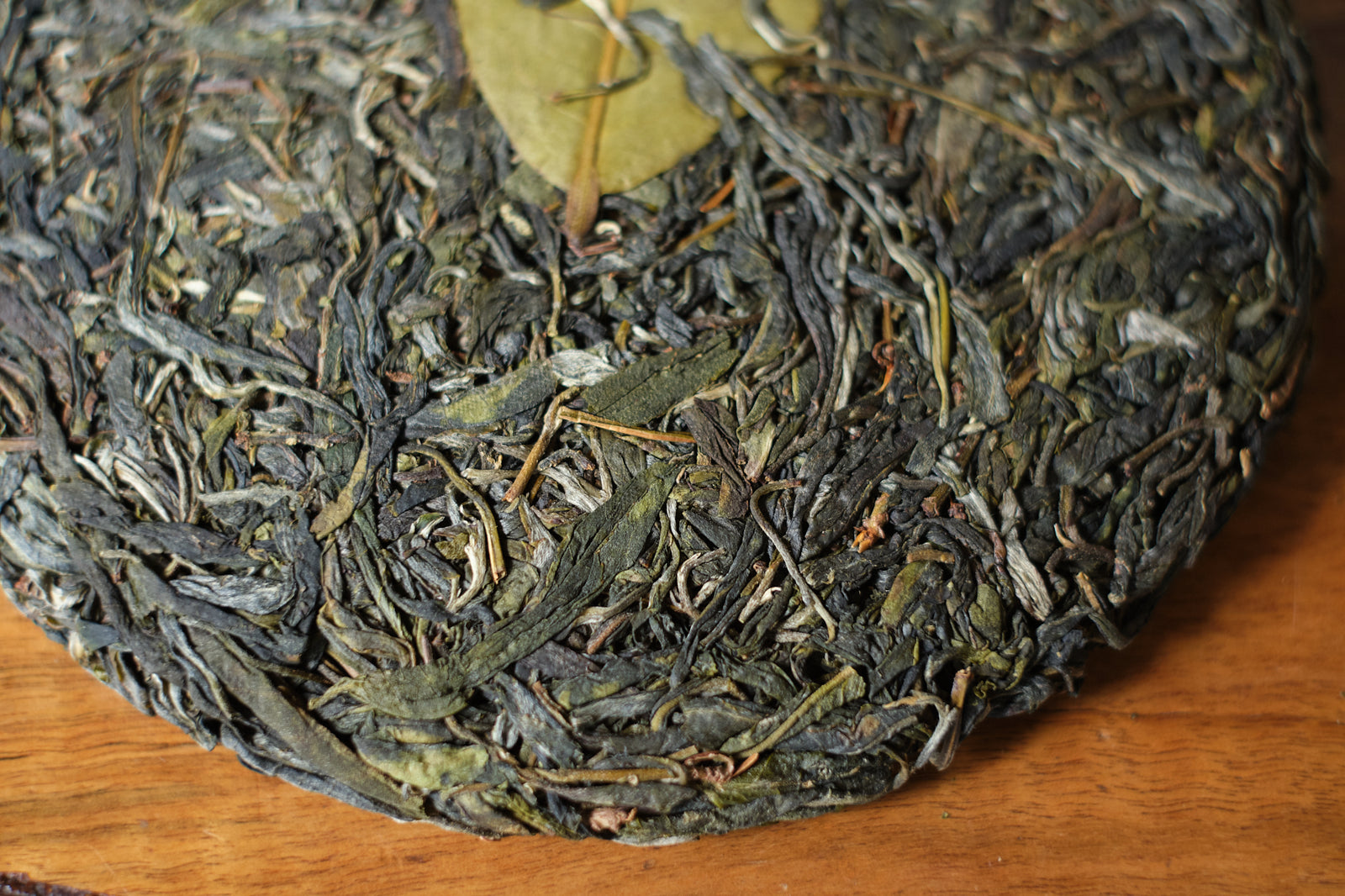 Spring 2024 Tang Fang Liang Zi