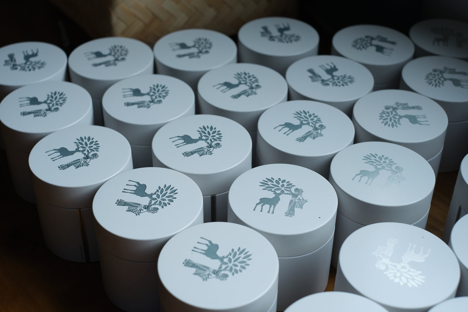 Spring 2024 Ailao High Mountain Oolong