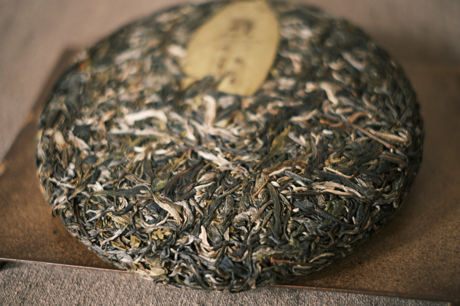 Spring 2023 Fa Zhan He