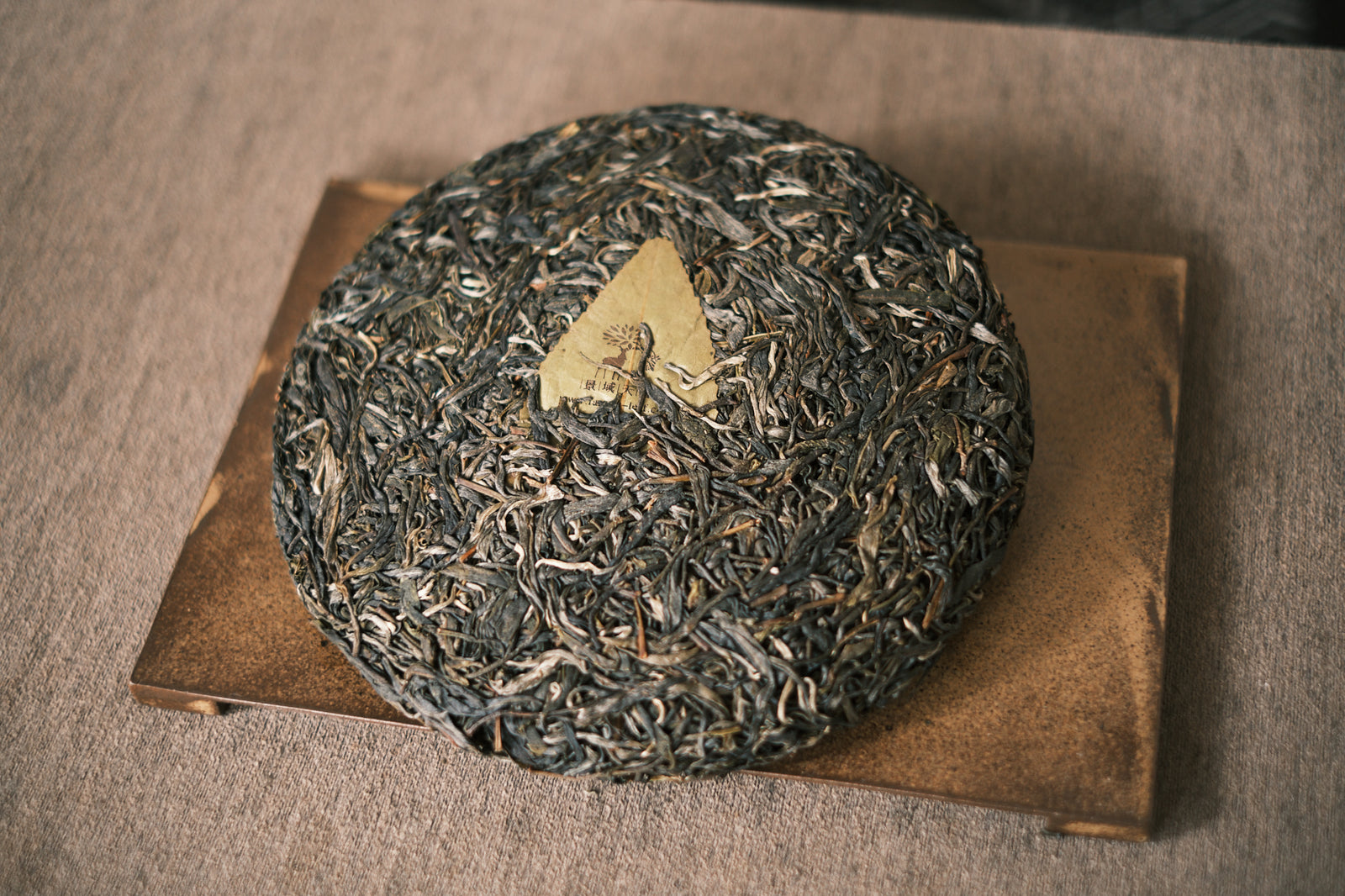 Spring 2023 Bangwai big trees