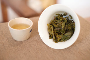 Spring 2023 Jingmai Gulan