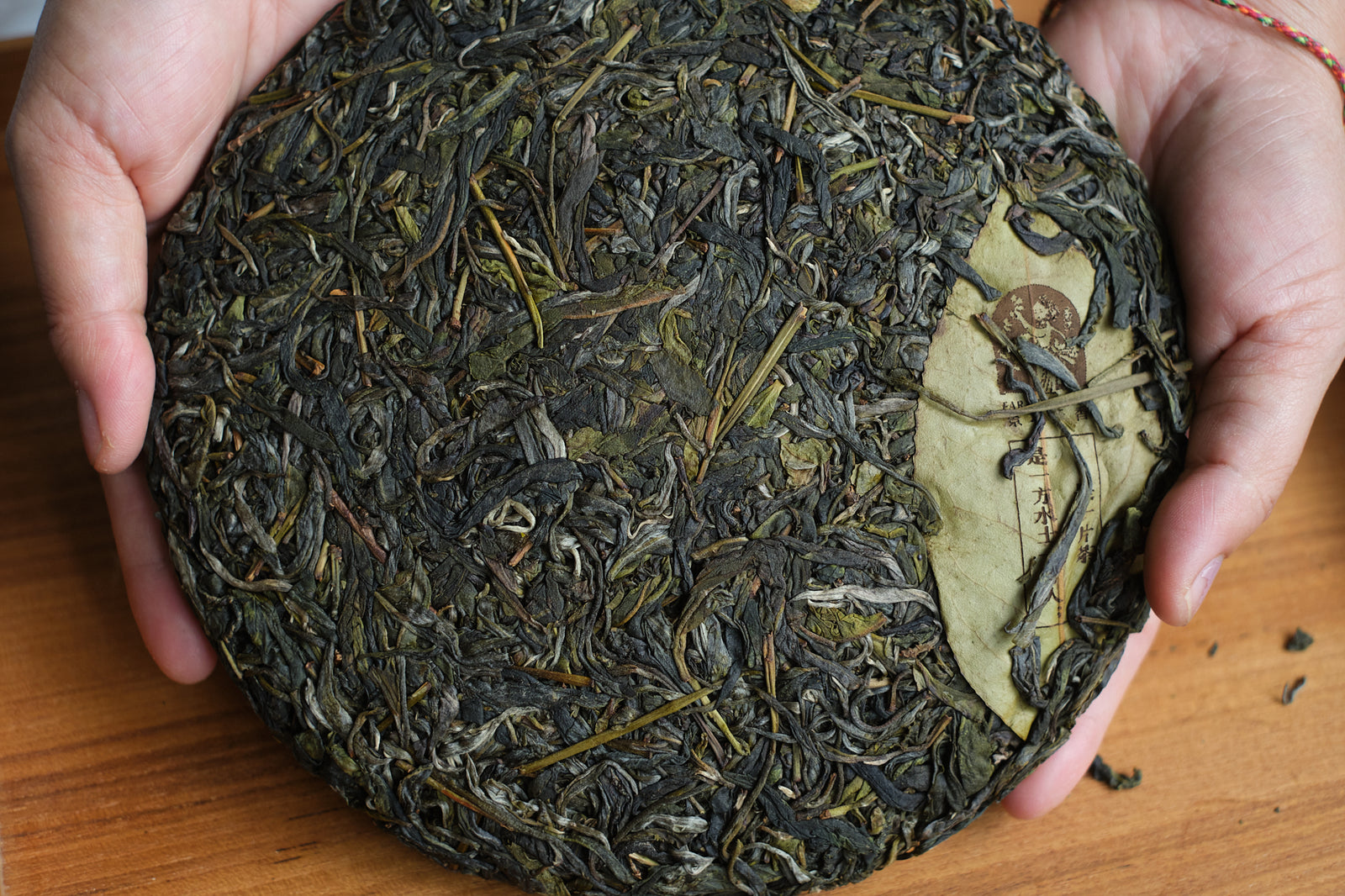 Spring 2023 Jingmai Single Trees