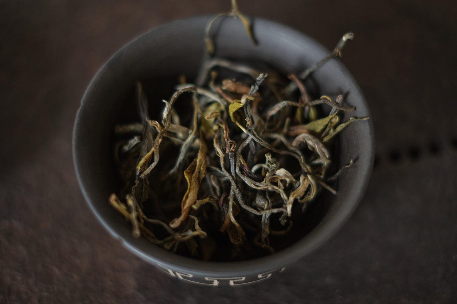 Autumn 2024 Jingmai Shengtai