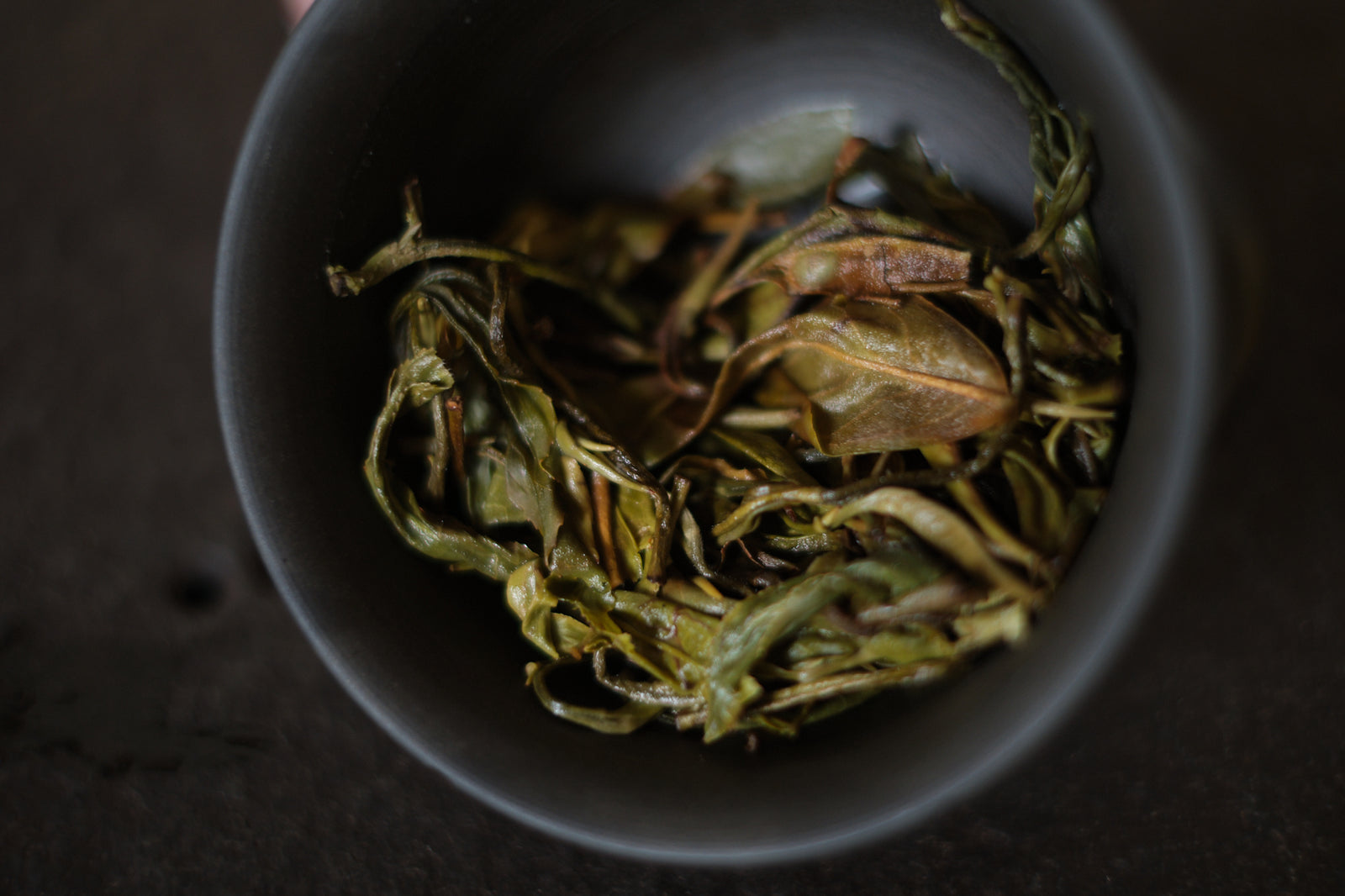 Autumn 2024 Jingmai Shengtai