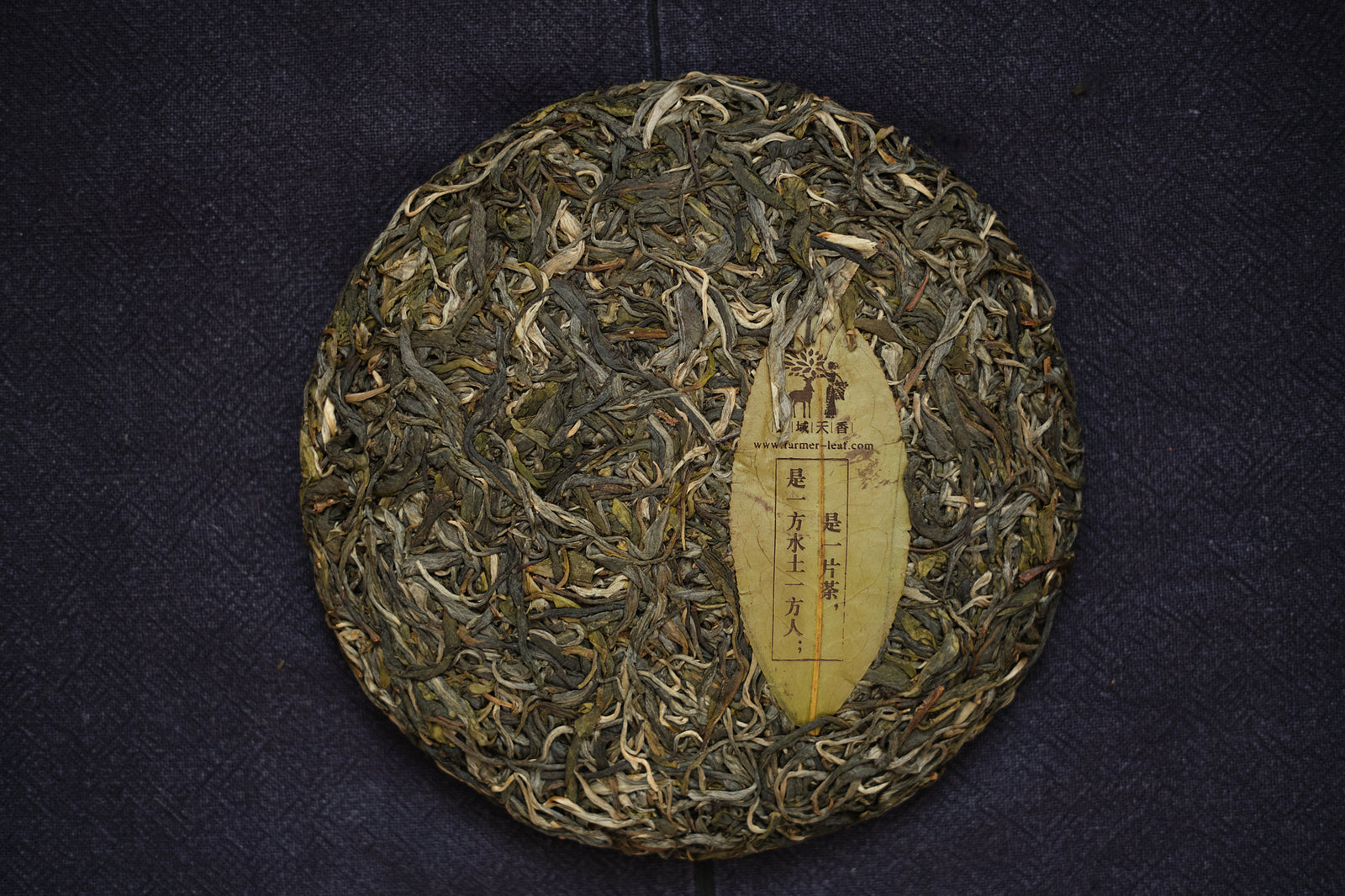 Spring 2023 Lao Man E small trees