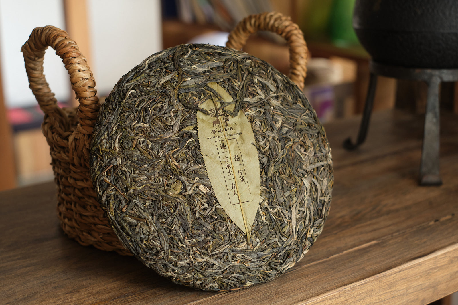 Spring 2023 Ba Ka Noy