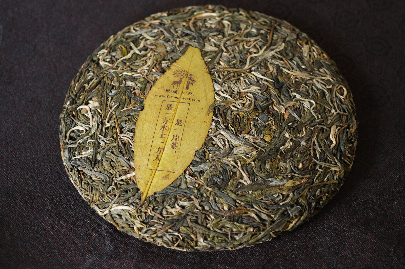 Spring 2023 Lao Man E big trees