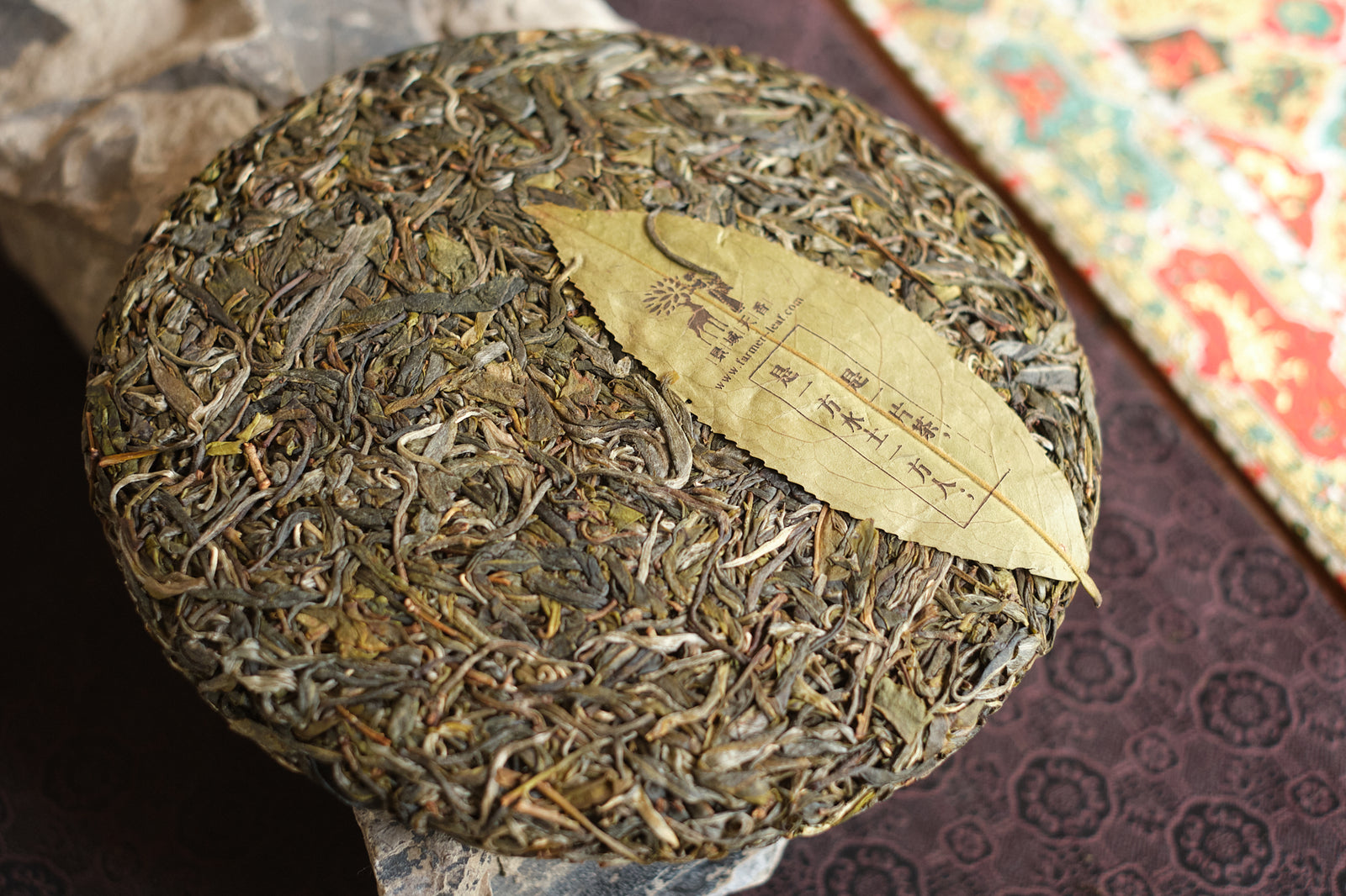 Spring 2023 Zhu Tang