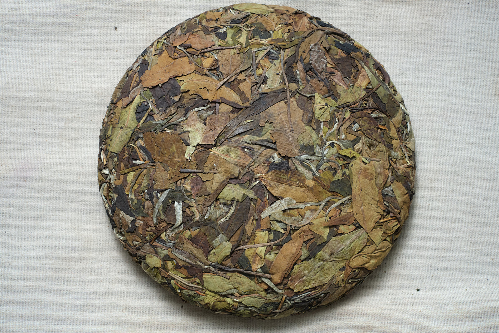 Spring 2023 Jingmai Moonlight White