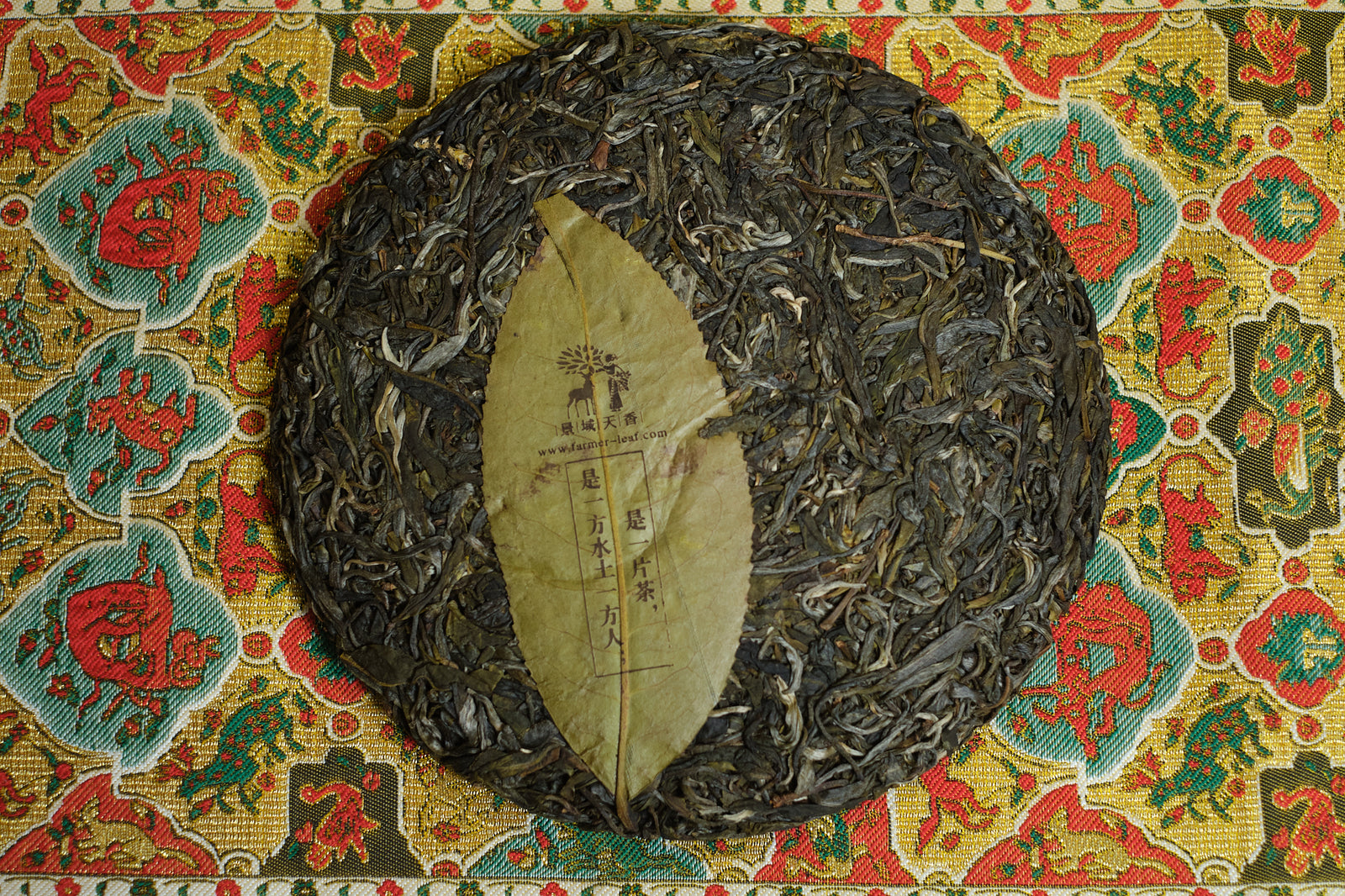 Spring 2023 Meng Noy big trees