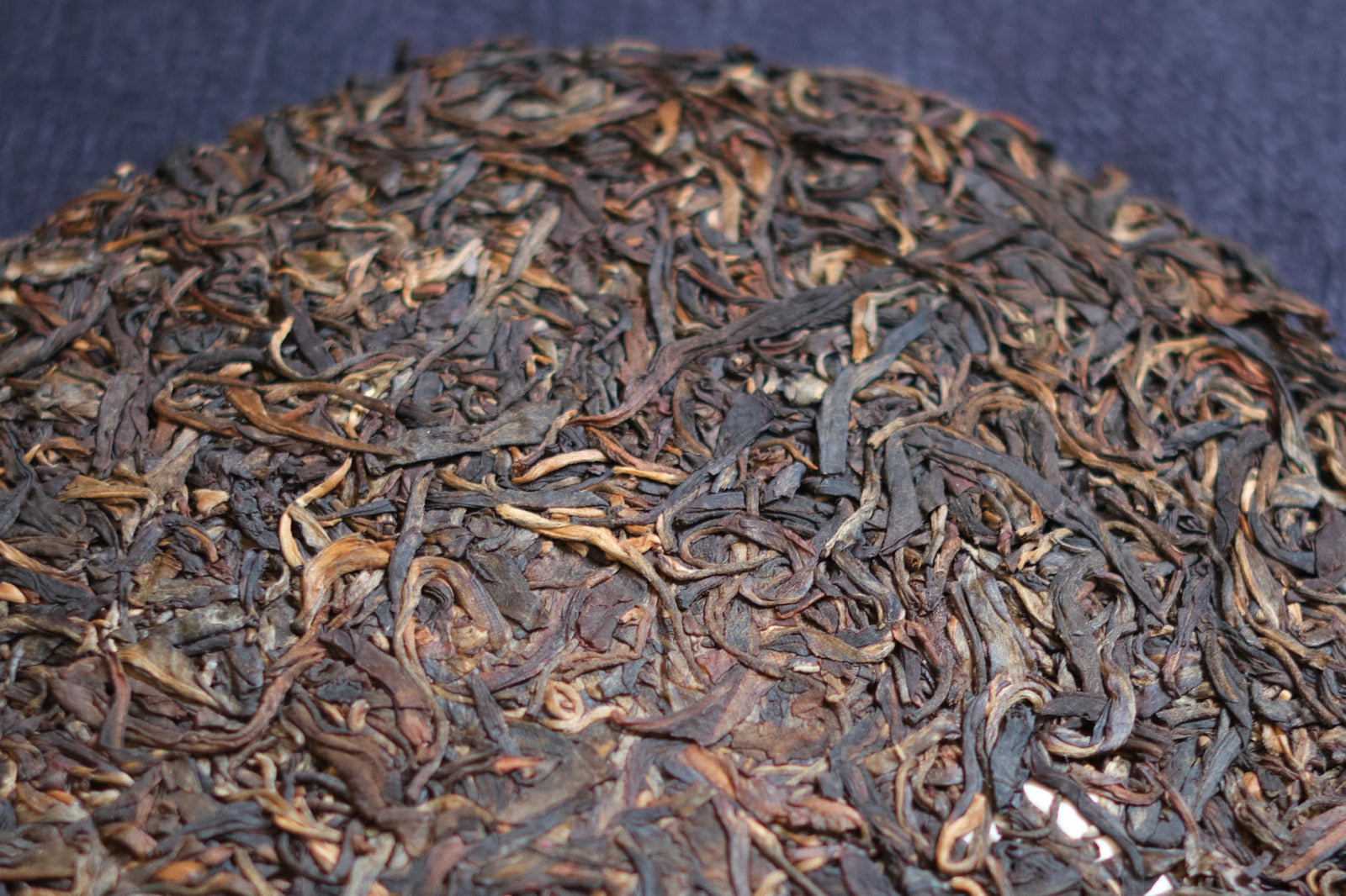 Spring 2011 Mangjing