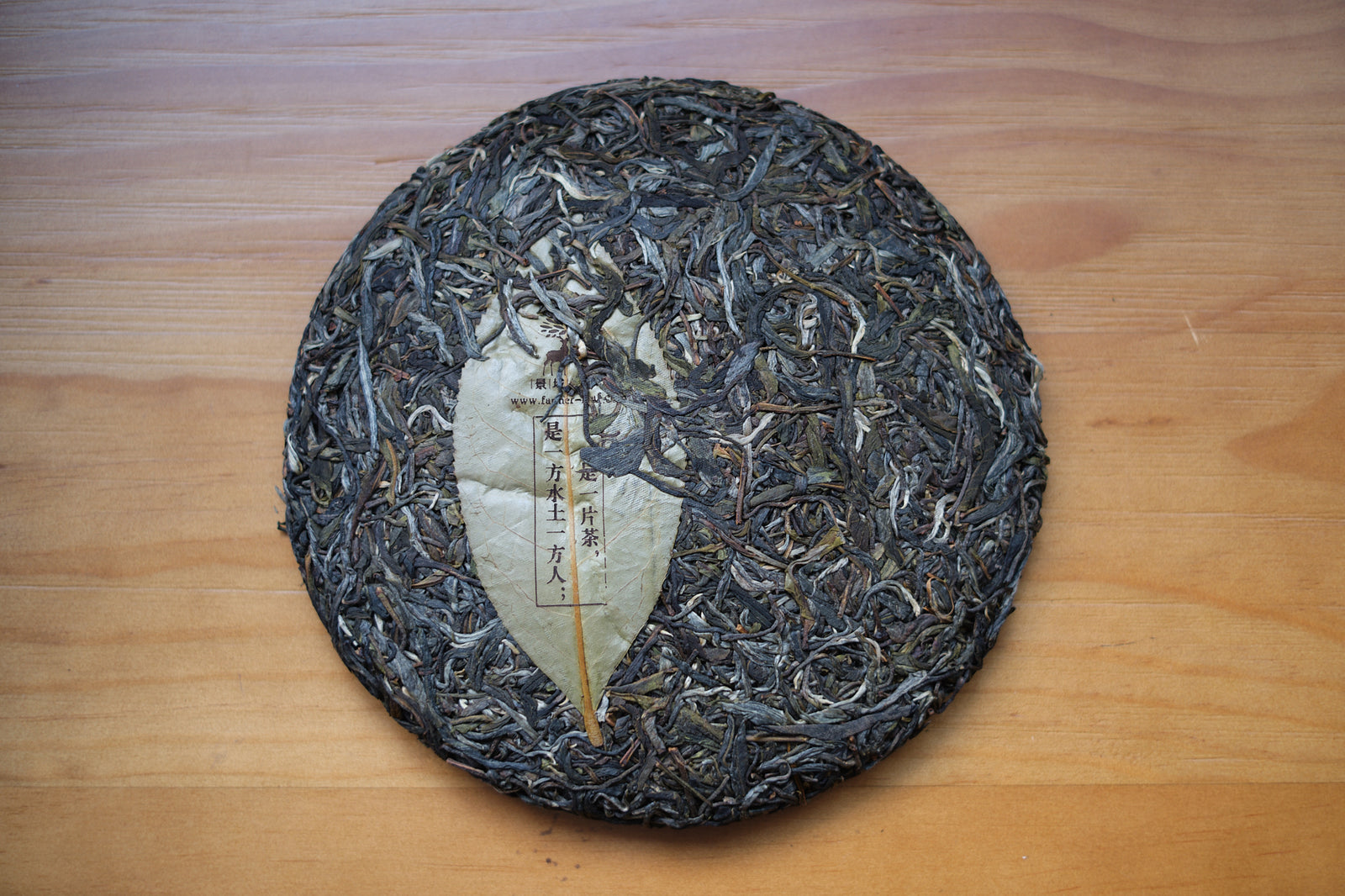 Autumn 2024 Jingmai Gushu