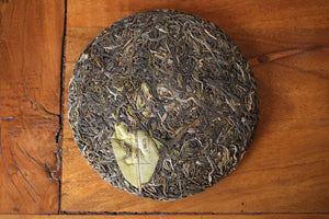 Autumn 2024 Lao Man E