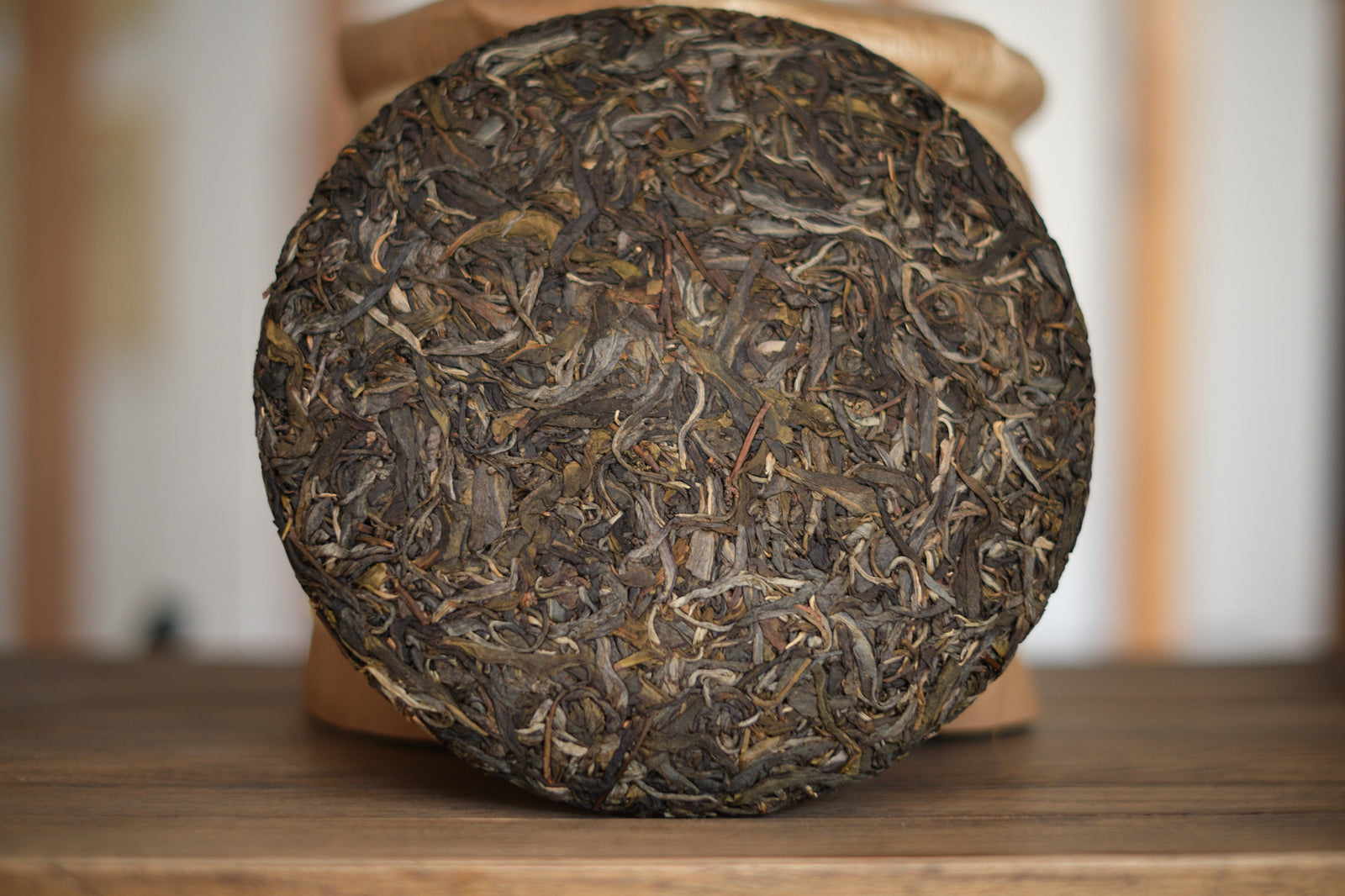 Spring 2022 Slava Ukraini