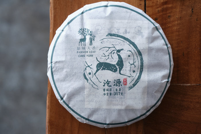Autumn 2023 Cang Yuan