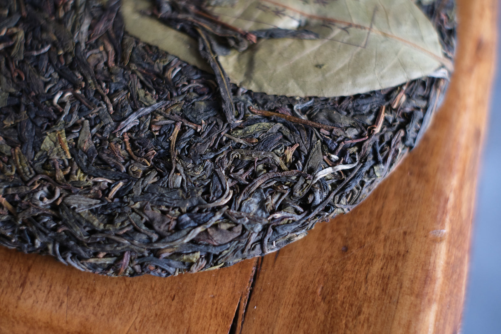 Autumn 2023 Cang Yuan