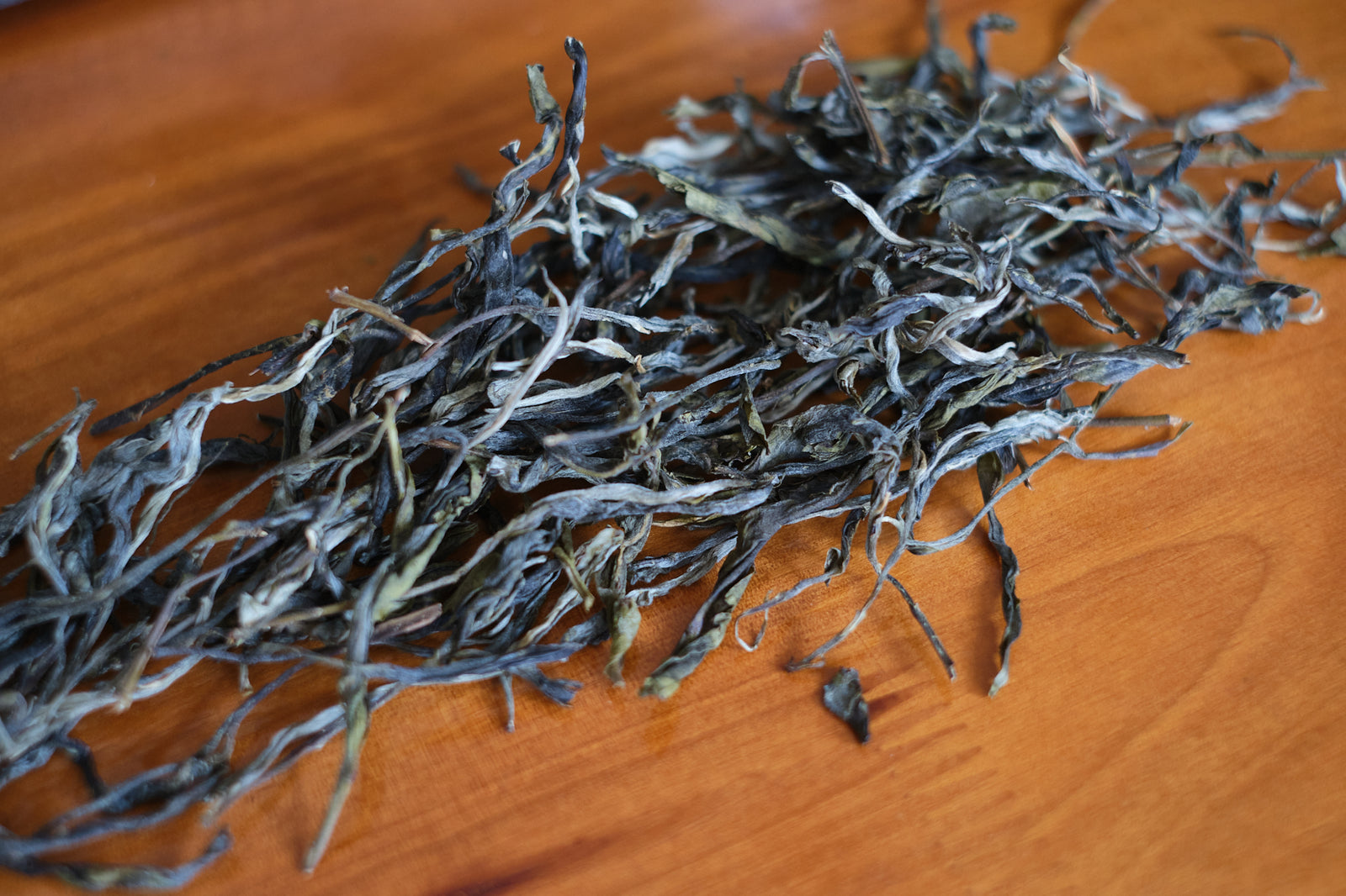 Spring 2023 Hekai single trees