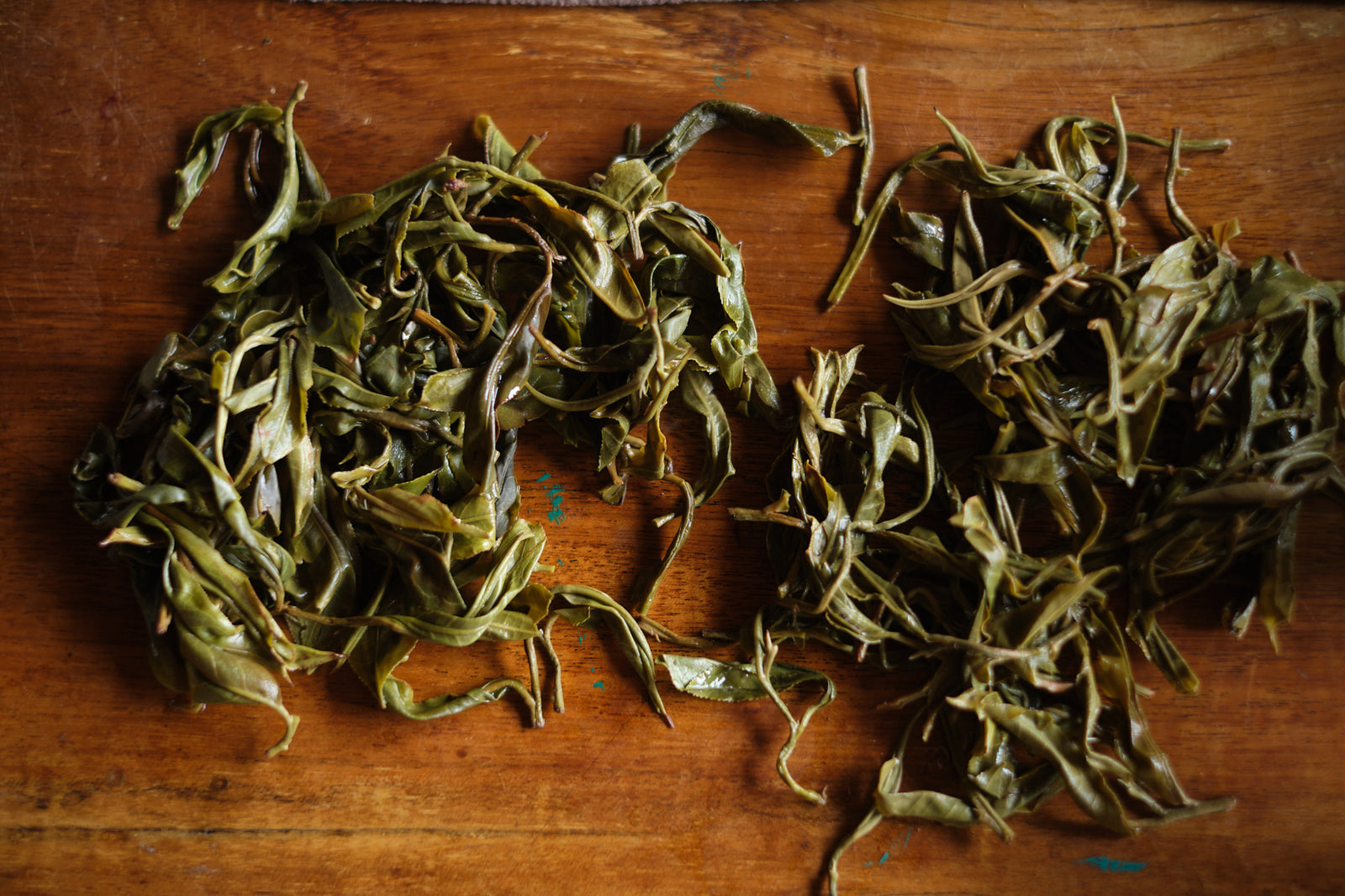 Spring 2025 Guang Jing Mao Cha