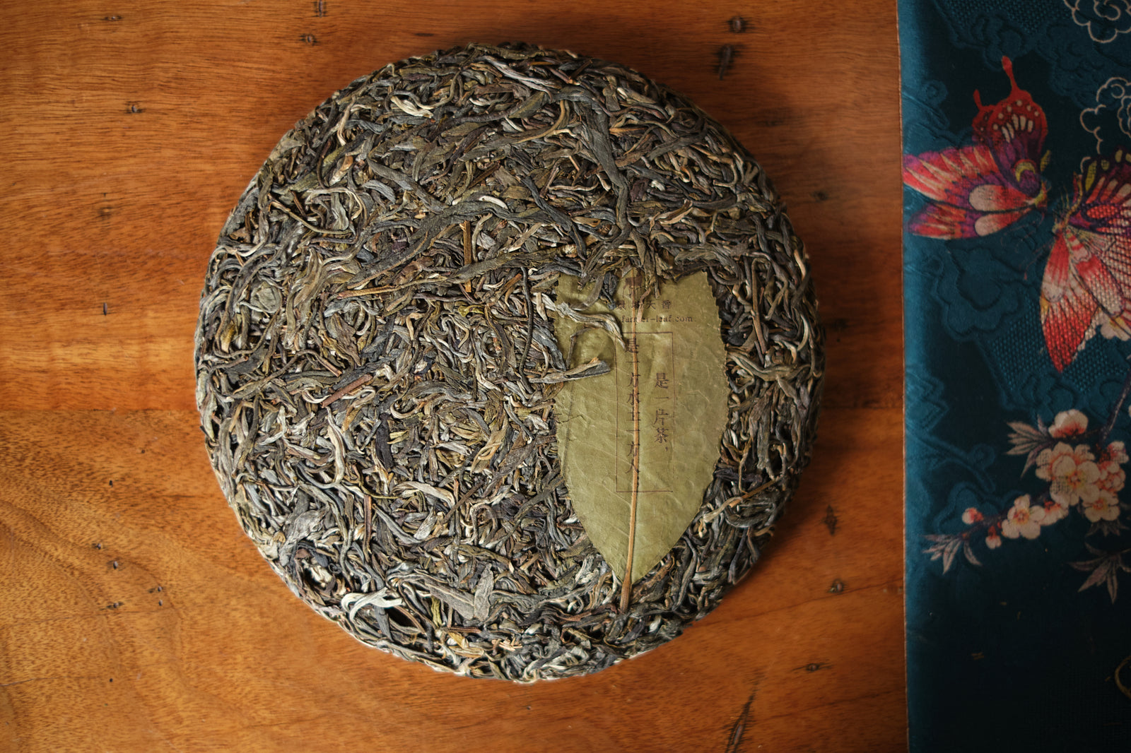 Autumn 2023 Jingmai Gushu