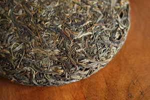 Autumn 2023 Jingmai Gushu