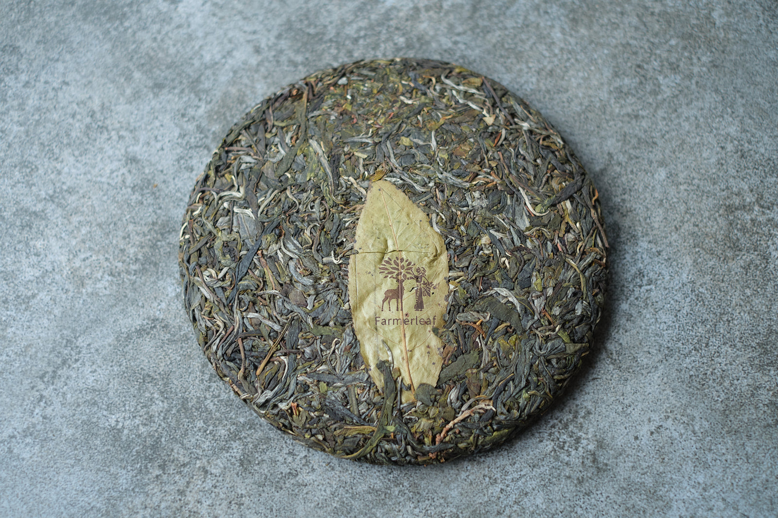 Spring 2025 Dong Guo