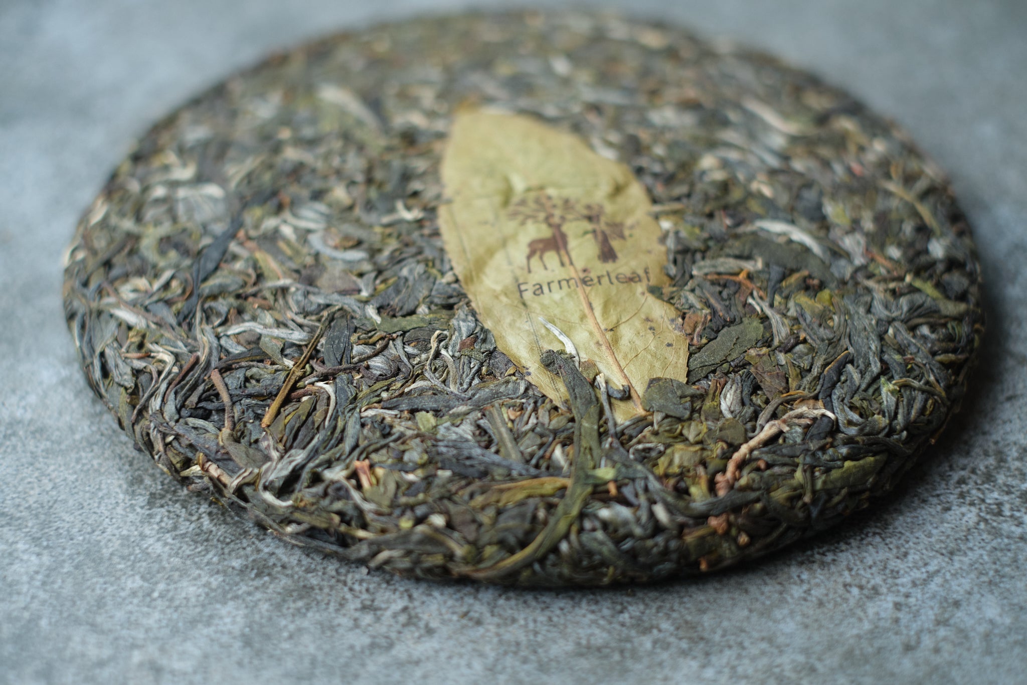 Up Front Tea Spring 2025 Dong Guo - Farmerleaf