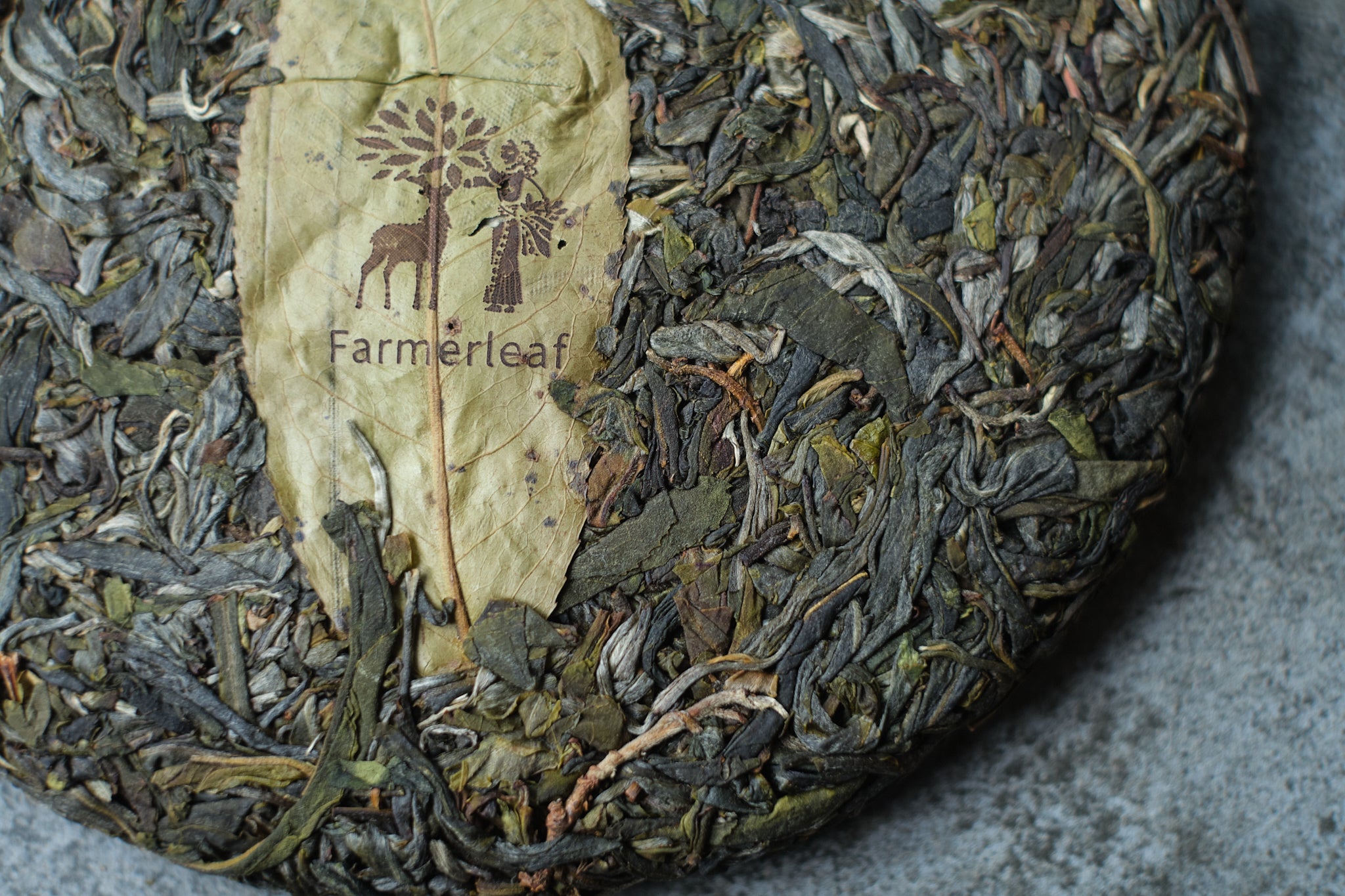 Up Front Tea Spring 2025 Dong Guo - Farmerleaf