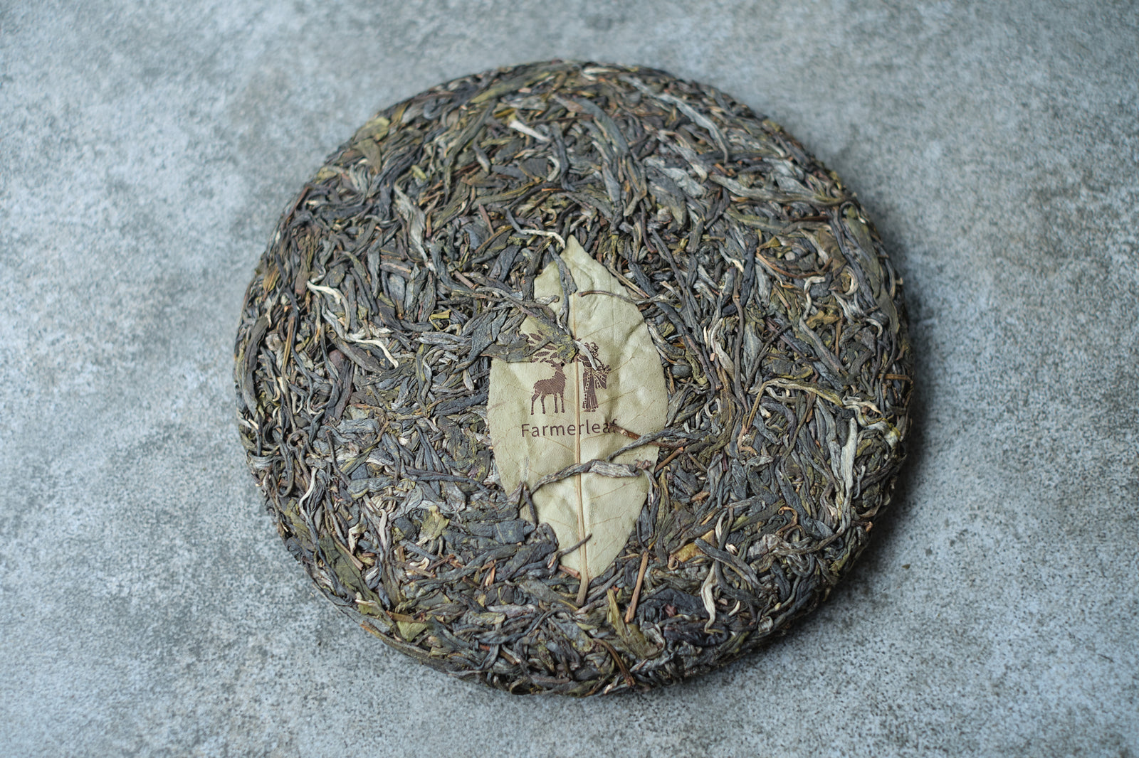 Spring 2025 Naka Big Trees