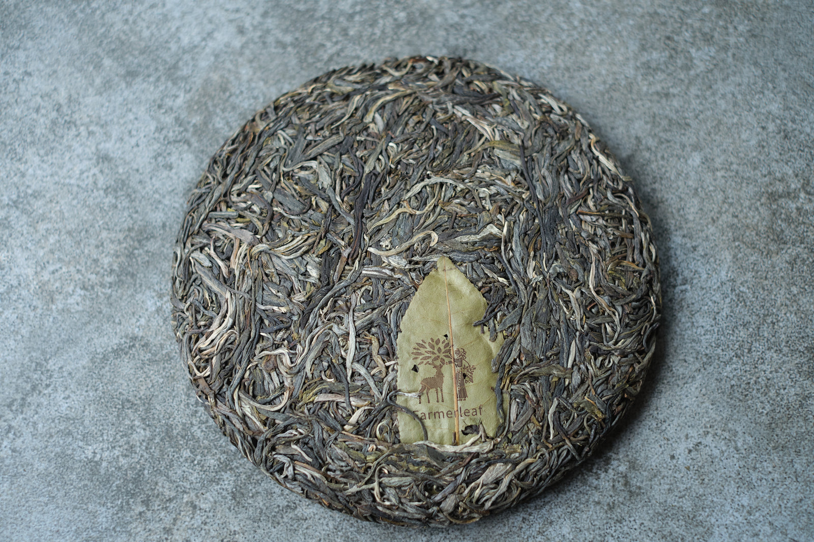 Spring 2025 Ba Ka Noy