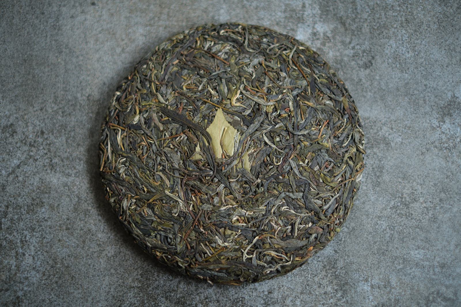 Spring 2025 Tang Fang Liang Zi