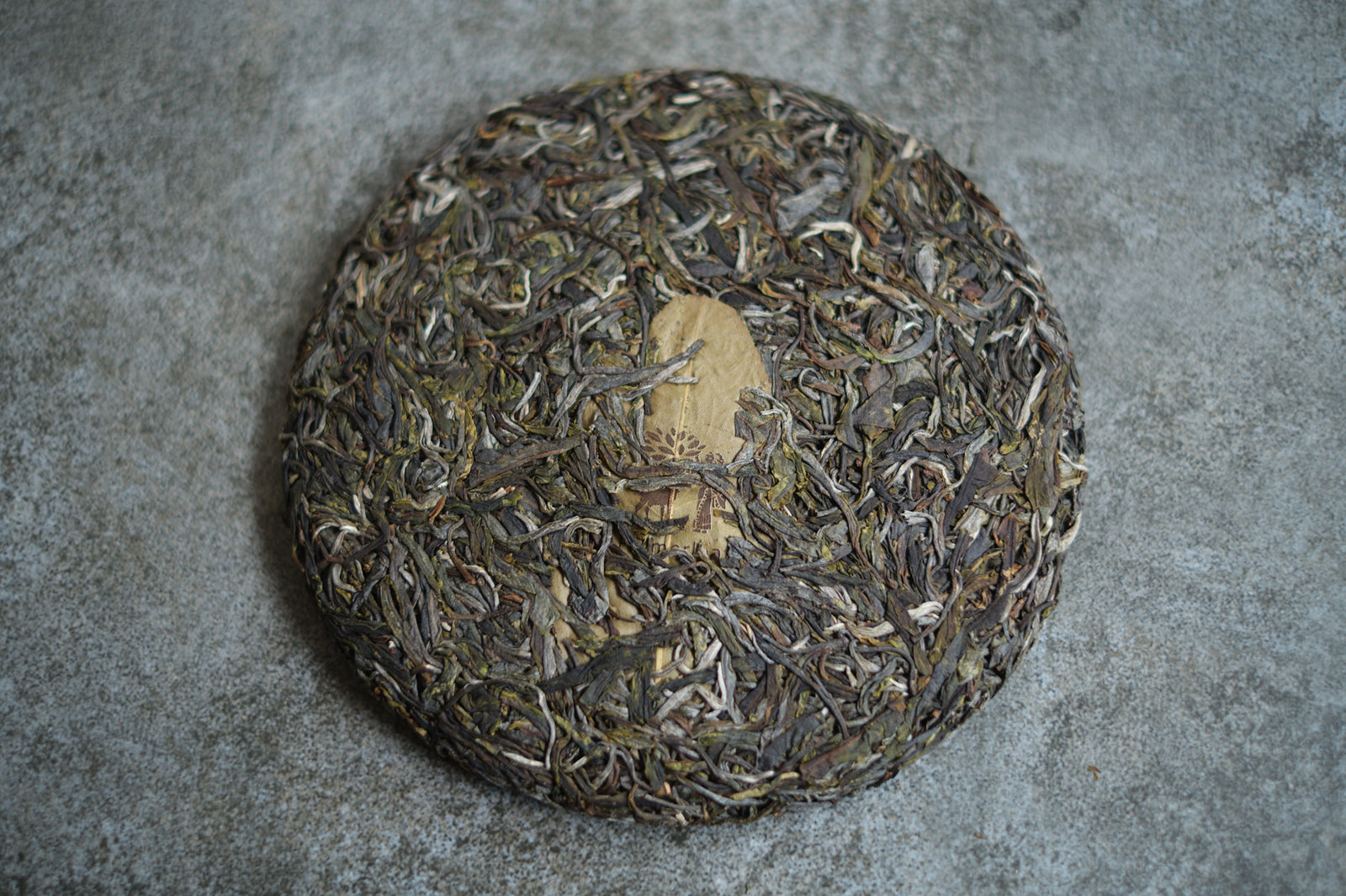 Spring 2025 Xiao He Bian