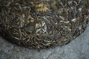 Spring 2025 Xiao He Bian