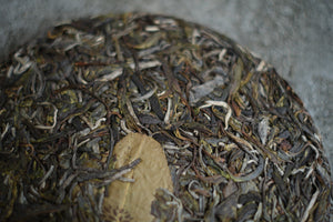 Spring 2025 Xiao He Bian