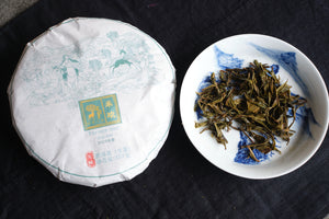 Spring 2025 He Huan
