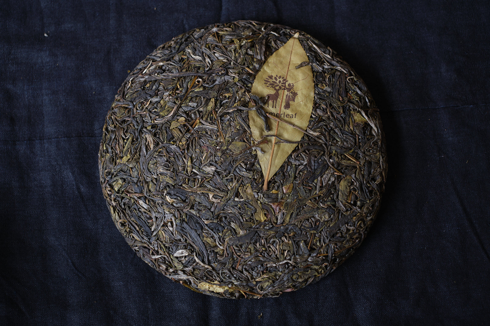 Spring 2025 Da Sun Shan