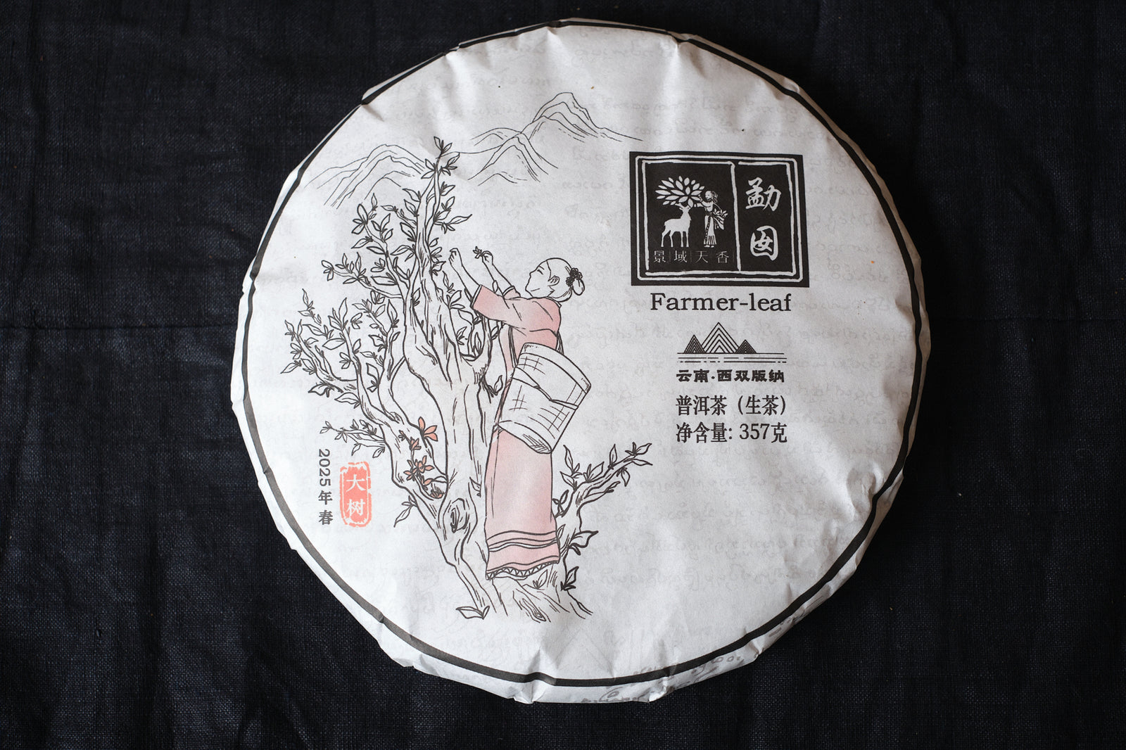 Spring 2025 Meng Noy big trees