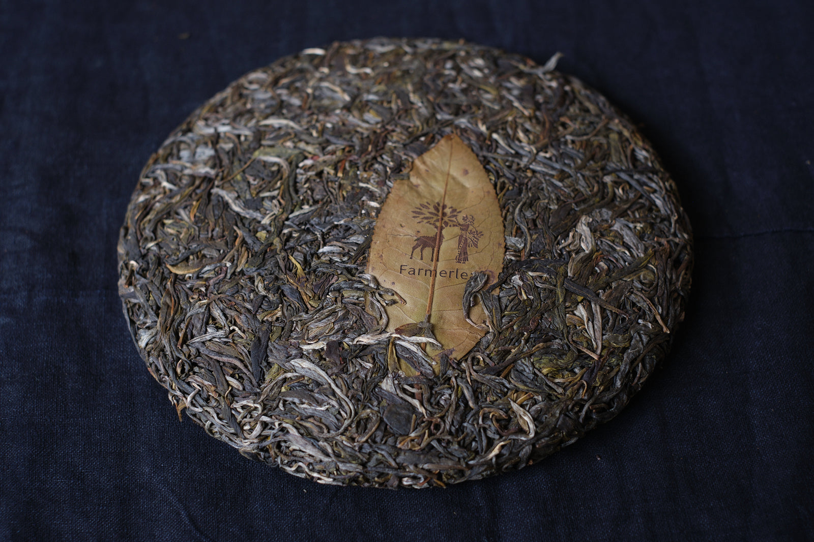 Spring 2025 Meng Noy big trees