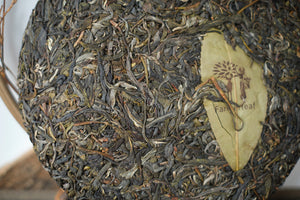 Spring 2025  Jingmai Tian Xiang