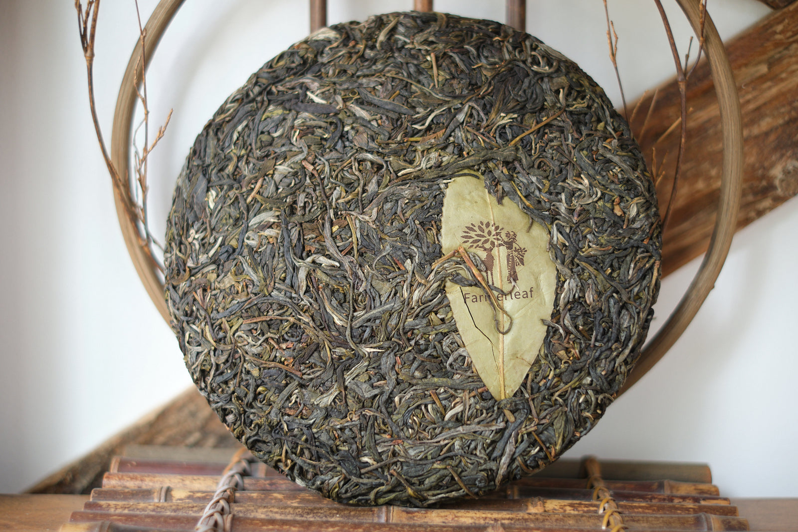 Spring 2025  Jingmai Tian Xiang