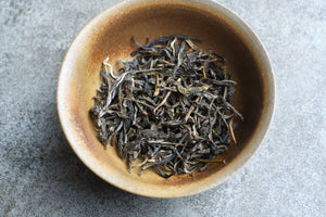 Spring 2025  Jingmai Tian Xiang