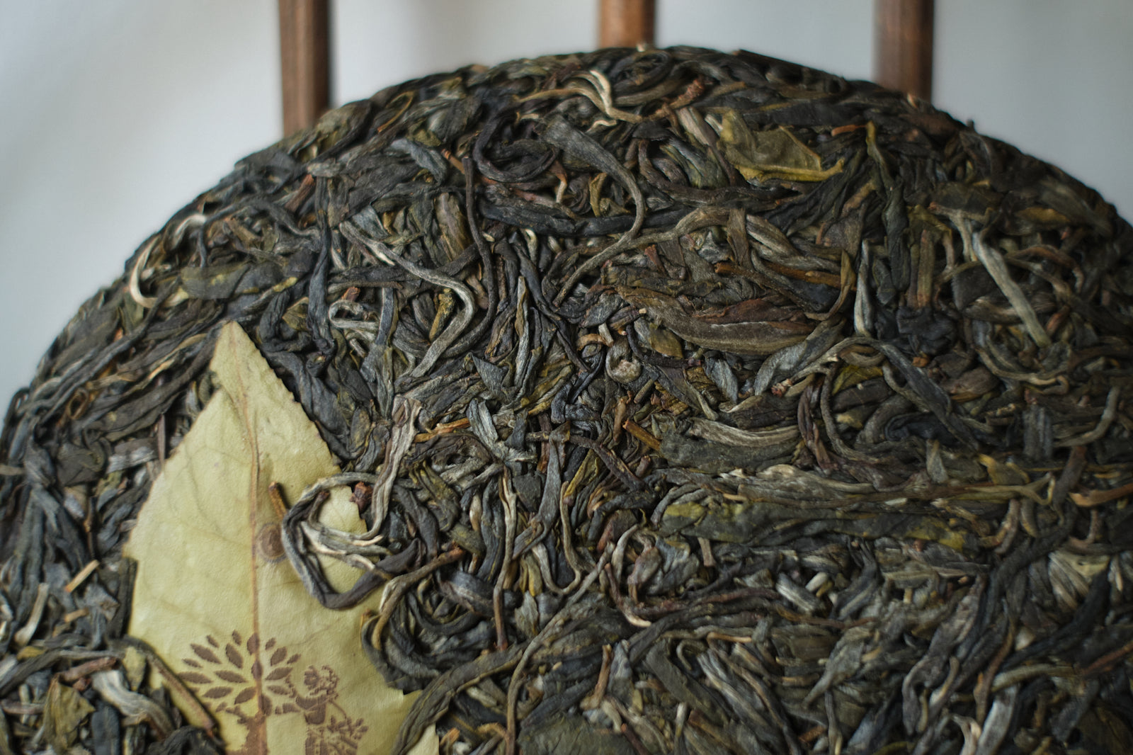 Spring 2025 Jingmai Single Trees