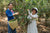 Spring 2024 Jingmai Gulan