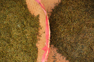 Spring 2024 Jingmai Sun-dried Black Shengtai