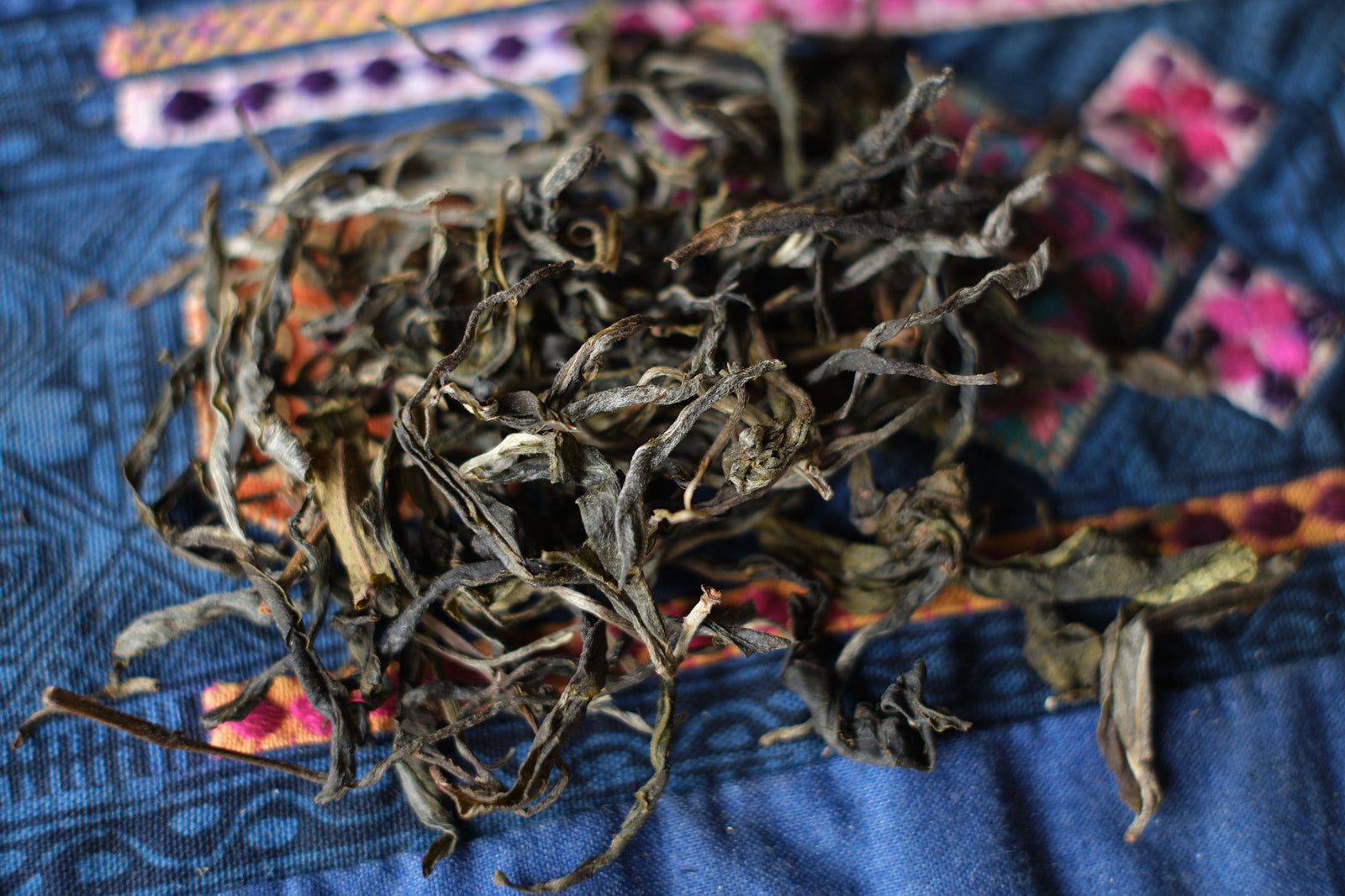 Spring 2024 Jingmai Mang Guo Garden